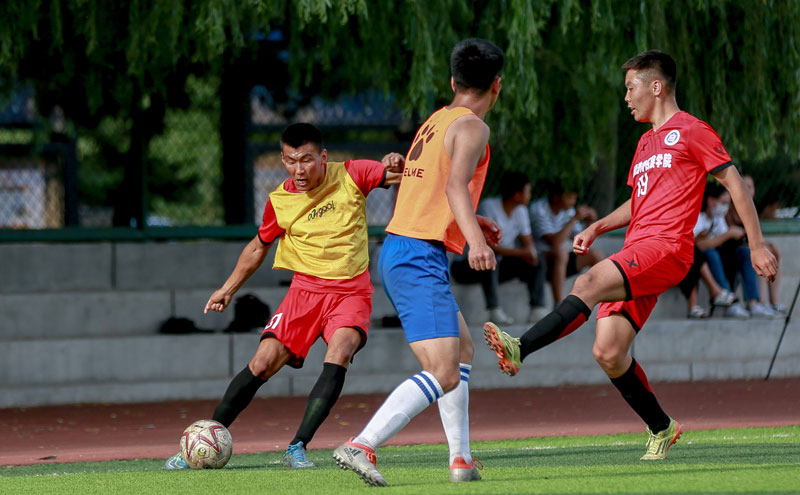 慢节奏高效 慢节奏高效